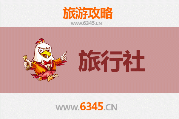 乐东大安镇旅行社精选推荐：解锁黎乡深度体验