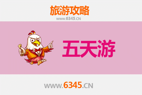 乐东大安镇五天四夜深度游攻略：雨林探秘与黎族文化体验